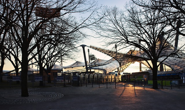 在全球体育 在全球体育