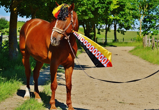 普夺得球员 普夺得球员