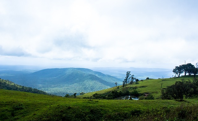 通过开展团 通过开展团