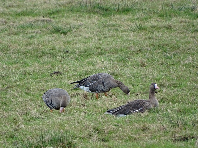 更是一段充 更是一段充