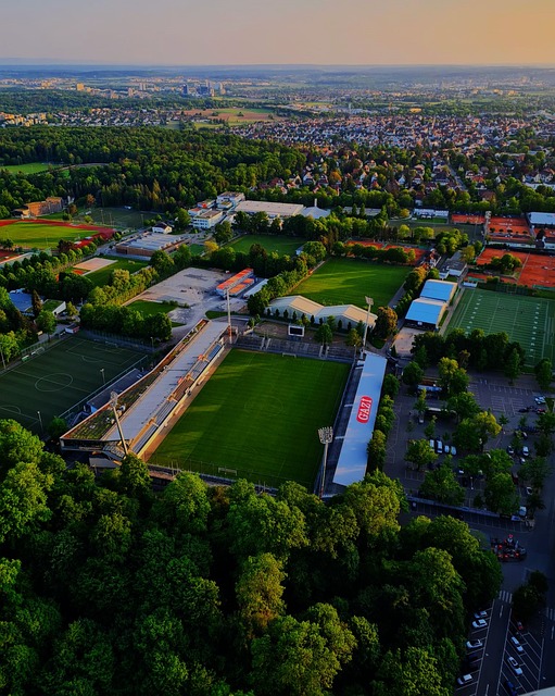 如果馬丁能 如果馬丁能