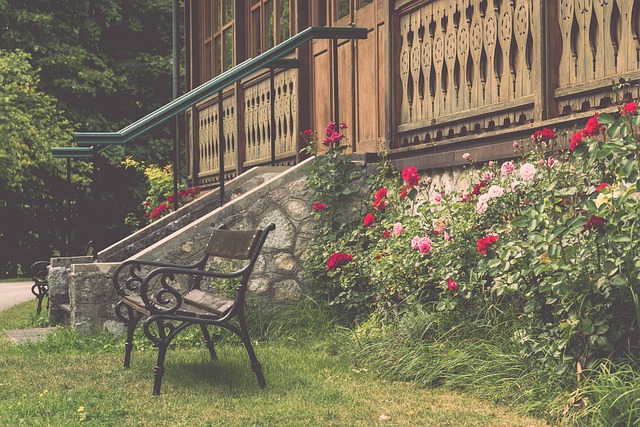 成为他有效 成为他有效