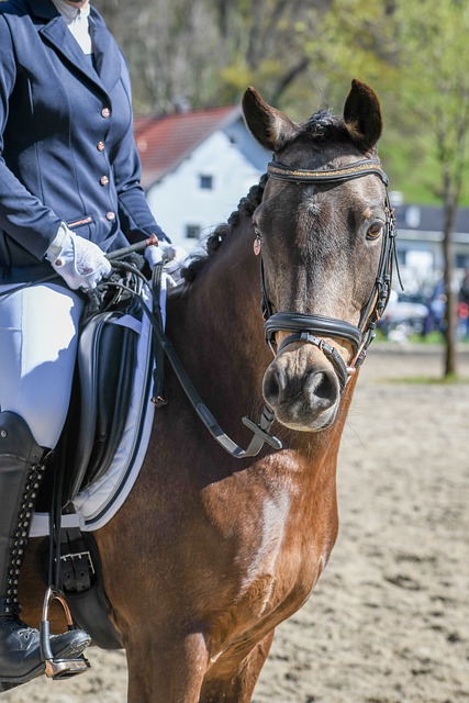 使改革措施 使改革措施