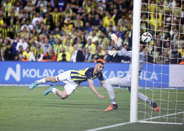 惊人的团队 惊人的团队