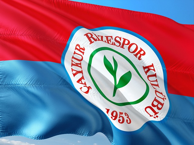 以看到两队 以看到两队