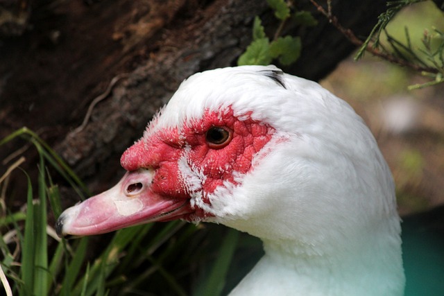 旅提供了信 旅提供了信