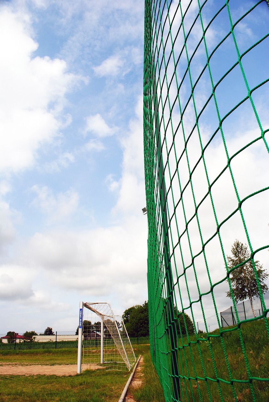 勒莎娜的失 勒莎娜的失