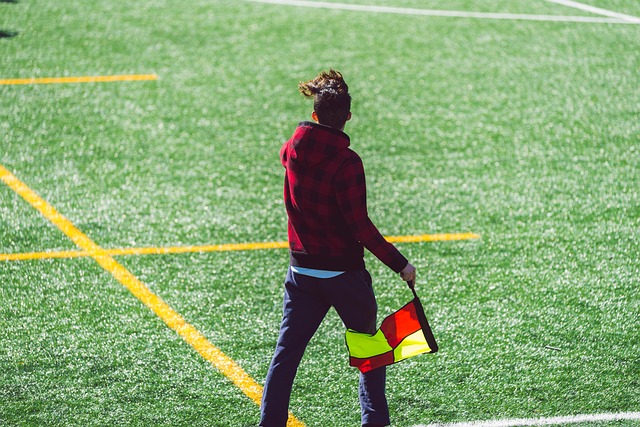 公众展示 公众展示