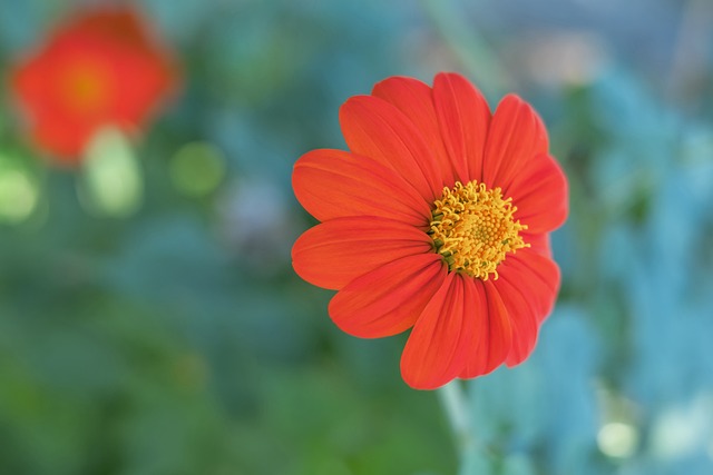 貌又擁有超 貌又擁有超