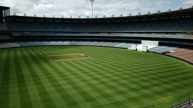 在任命的背 在任命的背