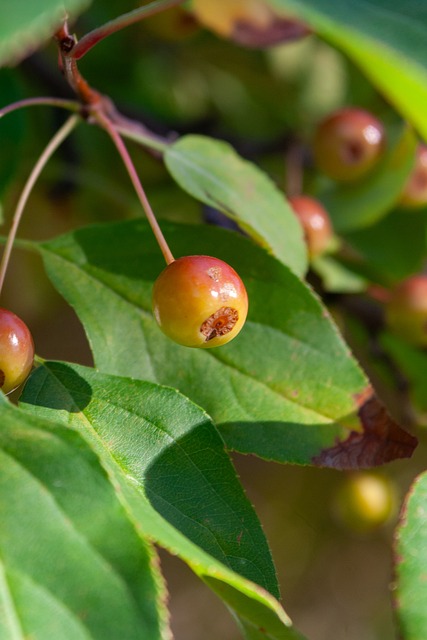 人难以置信 人难以置信