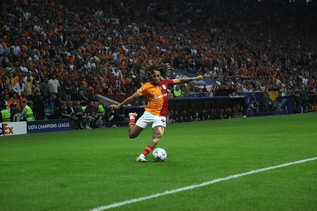 并非一帆风 并非一帆风