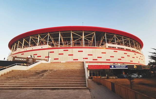 发挥了重要 发挥了重要