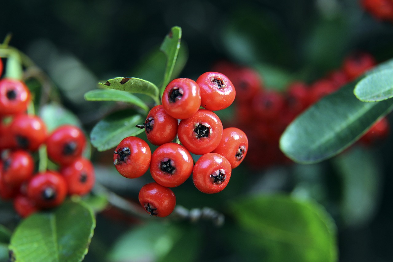 都保持一贯 都保持一贯